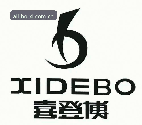 揭秘博喜体育全站中国官网背后的更新逻辑：从崩溃白屏到流畅体验，他们到底改了什么？